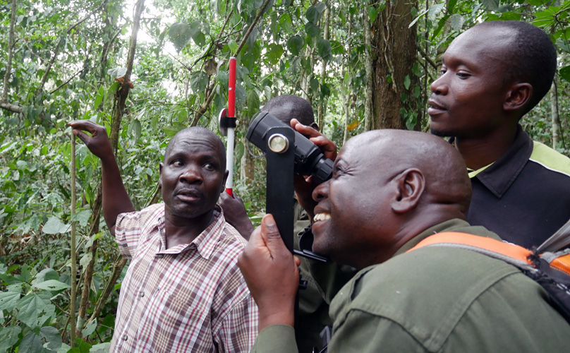 Field-Map in the field